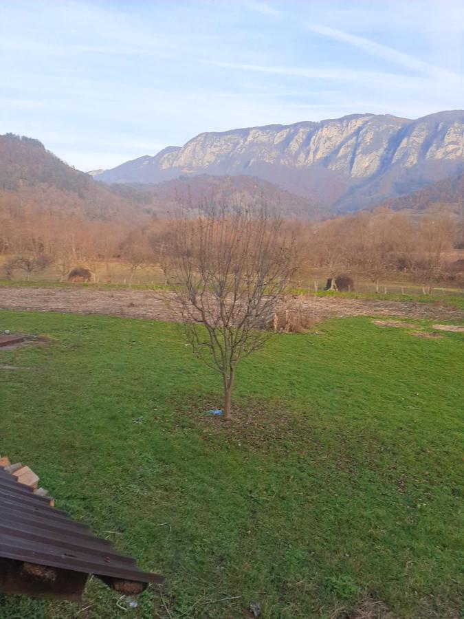 Pensiunea Codru Sălciua de Jos المظهر الخارجي الصورة