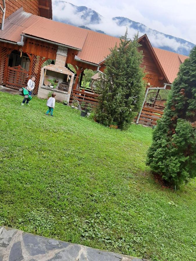 Pensiunea Codru Sălciua de Jos المظهر الخارجي الصورة