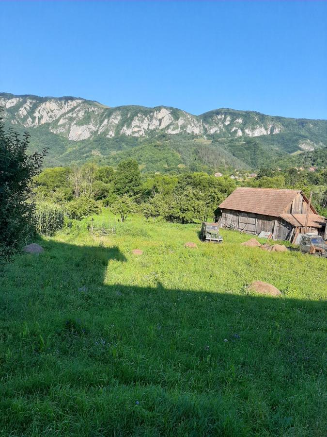 Pensiunea Codru Sălciua de Jos المظهر الخارجي الصورة