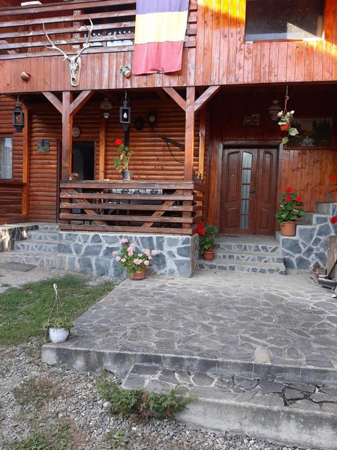 Pensiunea Codru Sălciua de Jos المظهر الخارجي الصورة